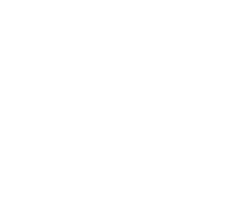 ZarklyX Z monogram